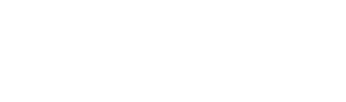 Renaissance Silk